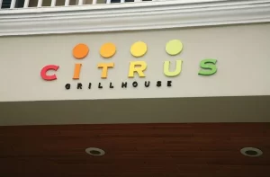 Outdoor Signs & Exterior Signs storefront building outdoor sign 300x197